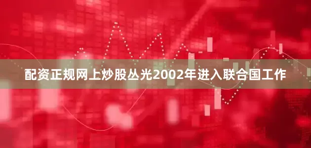 配资正规网上炒股丛光2002年进入联合国工作